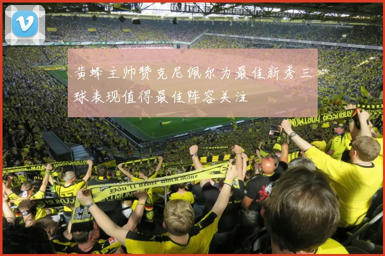 黄蜂主帅赞克尼佩尔为最佳新秀三球表现值得最佳阵容关注